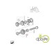 PINION VITEZA 1 Z51
