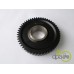 PINION VITEZA 1 Z51
