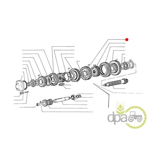 PINION VITEZA 2 Z41