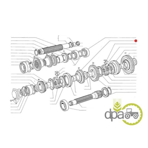 PINION VITEZA 3