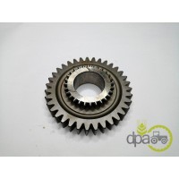 PINION VITEZA 3