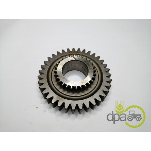 PINION VITEZA 3