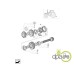 PINION VITEZA 3 Z41