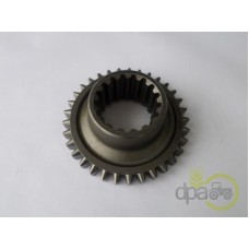 PINION VITEZA 4