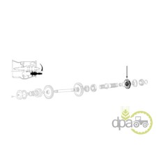 PINION VITEZA 4