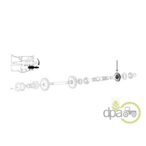 PINION VITEZA 4