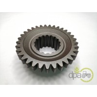 PINION VITEZA 4