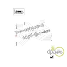 PINION VITEZA 4 Z33/42