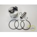 PISTON+SEGMENTI MOTOR
