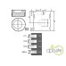 PISTON+SEGMENTI MOTOR