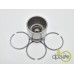 PISTON + SEGMENTI CILINDRU HIDRAULIC