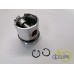 PISTON+SEGMENTI MOTOR