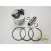 PISTON+SEGMENTI MOTOR
