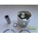 PISTON+SEGMENTI MOTOR