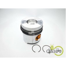 PISTON+SEGMENTI MOTOR