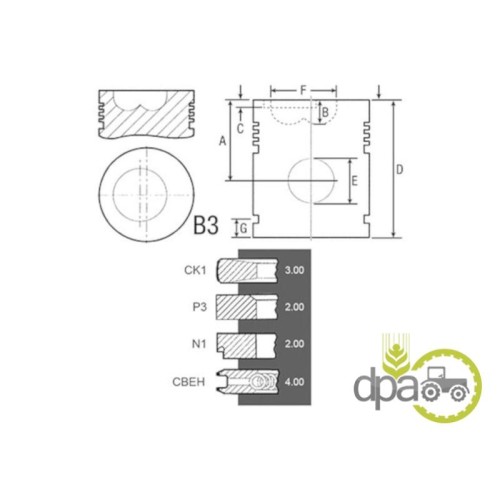 PISTON+SEGMENTI MOTOR