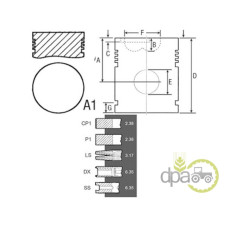 PISTON+SEGMENTI MOTOR