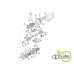 PIULITA AX GRUP CONIC SPATE
