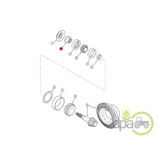 PIULITA GRUP CONIC FATA