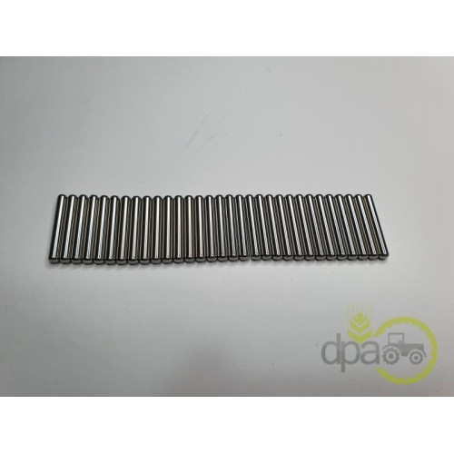 ROLA RULMENT PINION SATELIT FATA (X30)