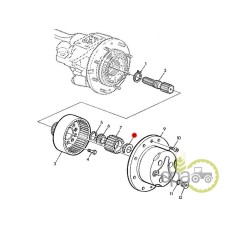 RULMENT PINION SATELIT FATA