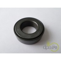 RULMENT PIVOT