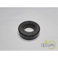 RULMENT PIVOT