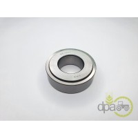 RULMENT PIVOT