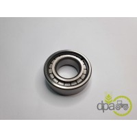 RULMENT PIVOT