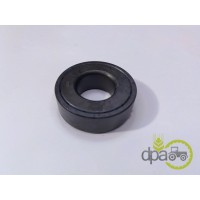 RULMENT PIVOT