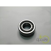RULMENT PIVOT