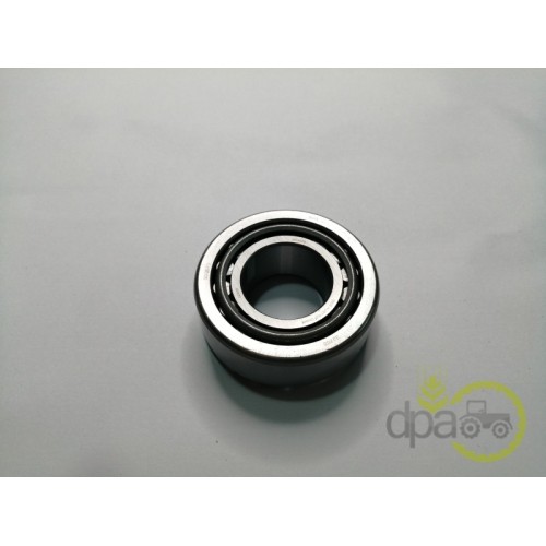RULMENT PIVOT
