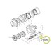 SAIBA BOLT INVERSOR