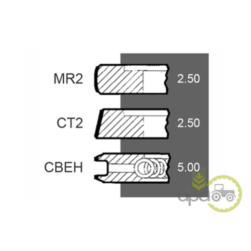 SEGMENTI MOTOR