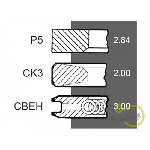 SEGMENTI MOTOR