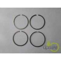 SEGMENTI MOTOR