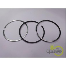 SEGMENTI MOTOR