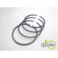 SEGMENTI MOTOR