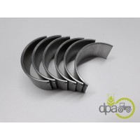 SET CUZINETI BIELA R4