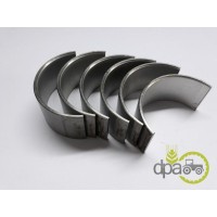 SET CUZINETI BIELA R5