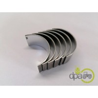 SET CUZINETI BIELA STD