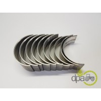SET CUZINETI PALIER R3