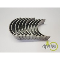 SET CUZINETI PALIER STD