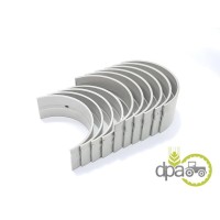 SET CUZINETI PALIER STD