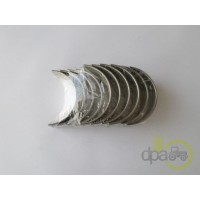 SET CUZINETI PALIER STD