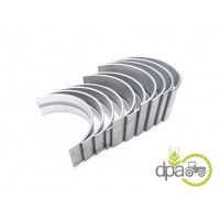 SET CUZINETI PALIER STD