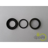 SET GARNITURI POMPA FRANA