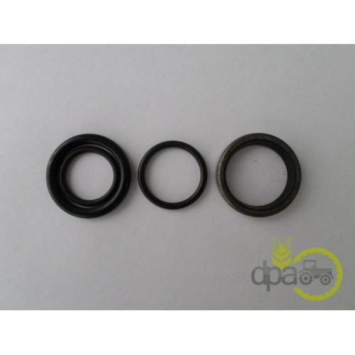 SET GARNITURI POMPA FRANA