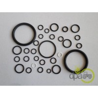 SET GARNITURI POMPA HIDRAULICA