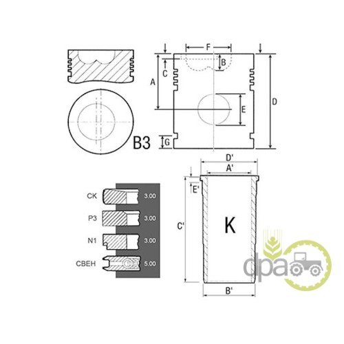 SET MOTOR